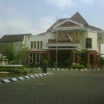 IMG00239-20121101-0846